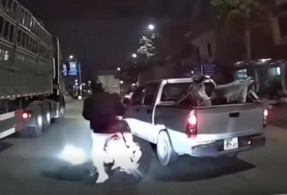 Xác minh ô tô bán tải tạt đầu khiến xe máy chở trẻ nhỏ suýt ngã vào gầm xe tải