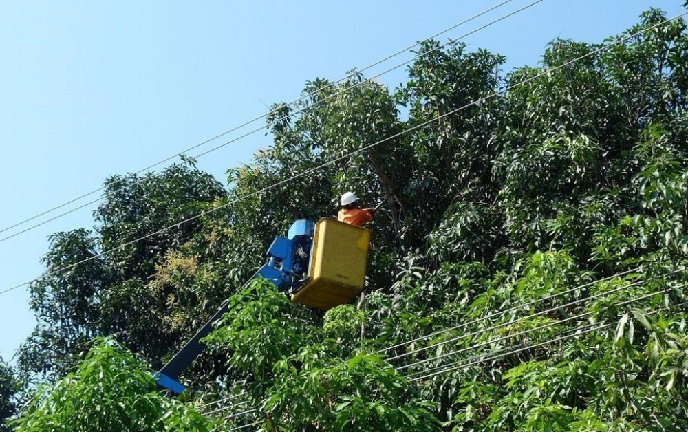 Lịch cắt điện Khánh Hòa (Nha Trang) ngày mai 23/4/2026 cập nhật mới nhất