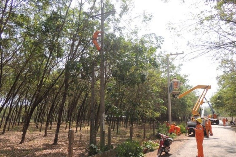 Lịch cắt điện Đồng Nai ngày mai 2/6/2026 cập nhật mới nhất