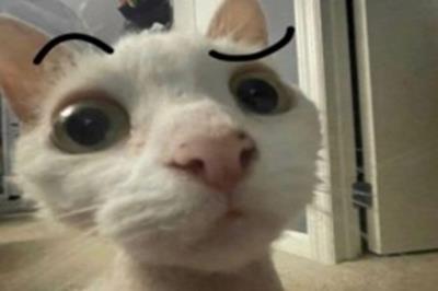 Truyện cười 24h: Khóc thét trước tiêu chuẩn tìm người yêu của cô gái