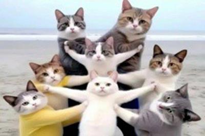 Truyện cười 24h: Cách tìm bảo vệ nhanh nhất khi bị mất ví trong siêu thị