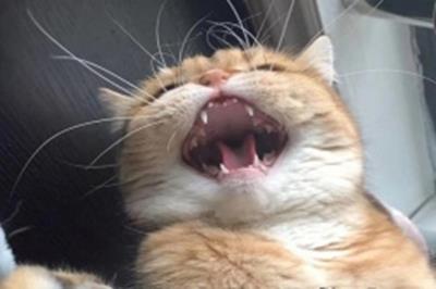 Truyện cười 24h: Con gái quá báo, hại bố mẹ cãi nhau "long trời lở đất"