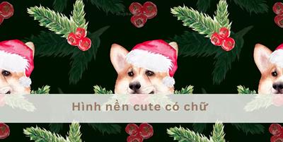 102+ Hình nền cute có chữ dễ thương nhất 2024