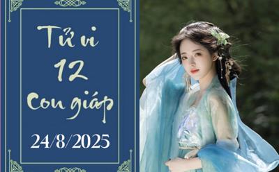 Tử vi 12 con giáp ngày 24/8: Thìn may mắn, Tỵ phát triển