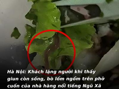 Hà Nội: Khách lặn người khi thấy giun còn sống, bò 'lỏm ngỏm' trên phở cuốn của nhà hàng nổi tiếng Ngũ Xã
