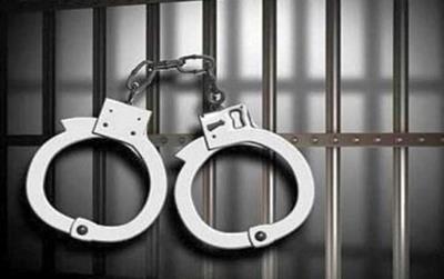 Khởi tố 5 bị can lừa đảo chiếm đoạt gần 20 tỷ đồng đất rừng Phú Quốc