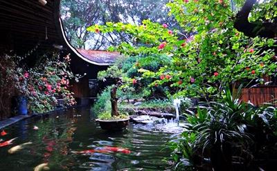 Danh sách quán cà phê cá Koi view đẹp ở Gò Vấp, TPHCM