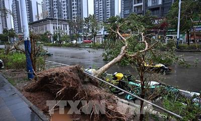 Chiều 25/9, bão số 9 khả năng suy yếu thành áp thấp nhiệt đới trên đất liền khu vực Đông Bắc Bắc Bộ