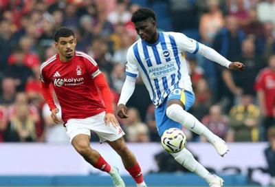 Nhận định Brighton vs Nottingham, 21h00 ngày 1/3: Cầm chân nhau