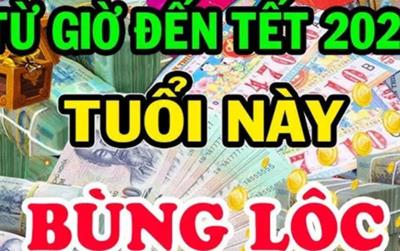 Cờ đến tay ai người đấy phất: 3 tuổi vận may bùng nổ, 1 tuổi khổ sở với Tam Tai cuối năm 2024