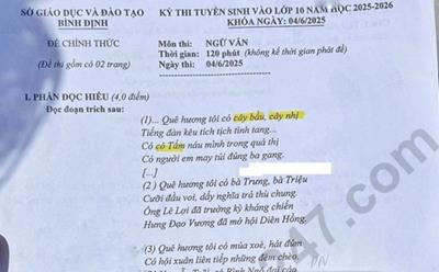 Đề thi và đáp án vào lớp 10 năm 2025 môn Văn tại Bình Định