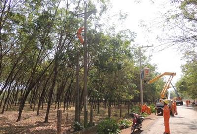 Lịch cắt điện Đồng Nai ngày 2/1/2026 cập nhật mới nhất