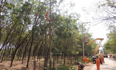 Lịch cắt điện Đồng Nai ngày mai 31/5 cập nhật mới nhất