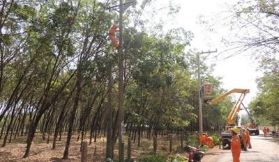 Lịch cắt điện Đồng Nai ngày mai 31/10/2025 cập nhật mới nhất