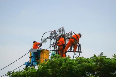 Lịch cắt điện Đà Nẵng ngày mai 15/5/2026 cập nhật mới nhất