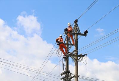 Lịch tạm ngừng cấp điện Quảng Ngãi ngày 4/12/2025