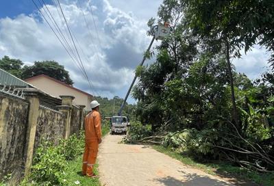 Lịch tạm ngừng cấp điện Quảng Ngãi ngày 25/12/2025