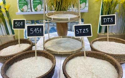 Giá gạo Việt Nam thủng mốc 400 USD/tấn, rẻ nhất châu Á