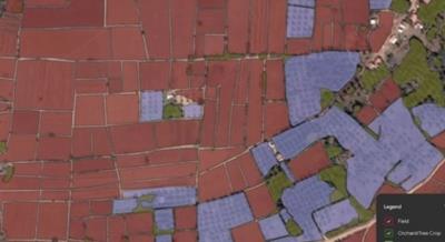 Google đưa API ứng dụng mô hình AI cho Nông nghiệp đến Việt Nam