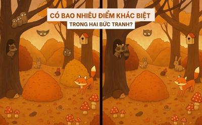 Câu đố dành cho người thuộc top tinh mắt nhất