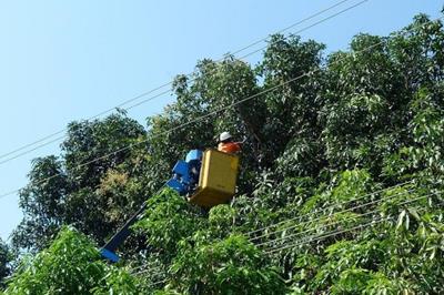 Lịch cắt điện Khánh Hòa (Nha Trang) ngày mai 19/4/2026 cập nhật mới nhất