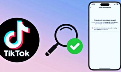Cách đơn giản kiểm tra vi phạm trên TikTok bằng điện thoại