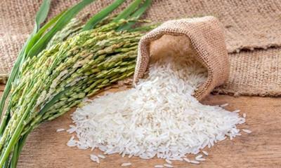 Giá lúa gạo hôm nay (25/5): Thị trường ổn định