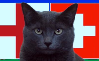 Mèo tiên tri dự đoán Anh vs Thụy Sĩ, 2h ngày 6/7/2024, Euro 2024