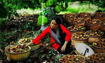 Những địa điểm nên đi chơi "banh nóc" ở Bình Dương dịp lễ 30/4?