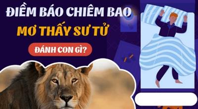 Nằm mơ thấy con sư tử có phải điềm tốt hay xấu?