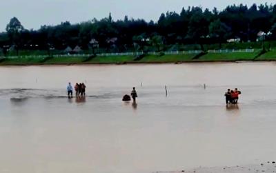 Hai anh em suýt chết đuối trên sông