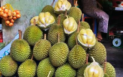 Giá nông sản hôm nay ngày 27/3/2024: Giá cà phê và ca cao tăng mạnh, giá tiêu hôm nay lại tiếp tục đi ngang.