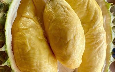 Giá sầu riêng hôm nay ngày 4/6: Ổn định