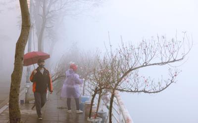 Dự báo thời tiết hôm nay 13/2: Bắc Bộ, Bắc Trung Bộ trời lạnh và có sương mù, Nam Bộ ngày nắng