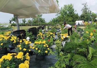 Ông Bà dặn: Tiết Thanh minh, 7 người này không nên tảo mộ kẻo rước xui rủi, gia đình l.ục đục ốm đau triền miên