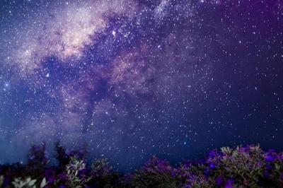 Suối Bon Sơn La – Điểm đến săn sao, cắm trại ‘‘điện ảnh’’ bậc nhất Tây Bắc