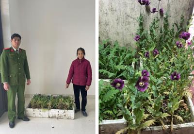 Lạng Sơn: Người phụ nữ U70 chờ ngày "cải cúc" nở hoa, đón tiếp bất ngờ những "vị khách áo xanh" tới nhà hỏi thăm