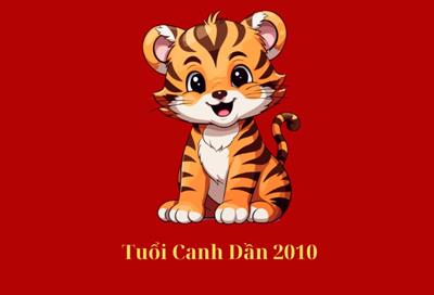 Canh Dần 2010 hợp màu gì? Màu sắc mang lại may mắn và tài lộc