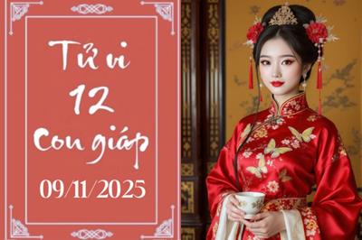 Tử vi 12 con giáp ngày 9/11: Mão vận đỏ, Hợi tự tin