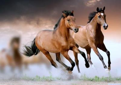 13 Ngày Cuối Tháng 5 Âm: 3 Tuổi Trúng Số Đổi Đời, Tiền Vào Như Nước