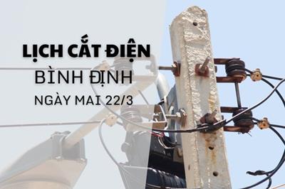 Lịch cắt điện Bình Định ngày mai 22/3 mới nhất