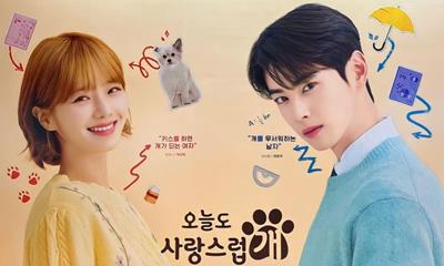 Xem Phim A Good Day To Be A Dog Tập 8,9,10,11 (Full 14 Tập)