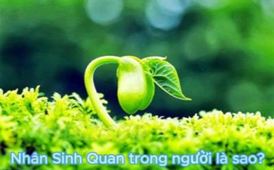 Nhân sinh quan là gì? Nhân Sinh Quang Trong Người Việt là thế nào?