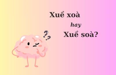 90% người nhầm lẫn: 'Xuề xoà' hay 'xuề soà'?