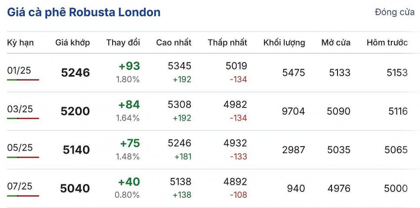 Giá cà phê hôm nay 10/12/2024: