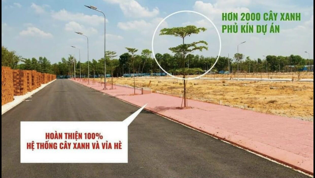 Hoàn thiện 100% Hệ thống cây xanh và vỉa hè